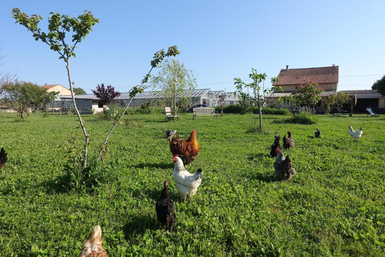 Gite Du Pagoulin - Gite Hyeres Exterior photo